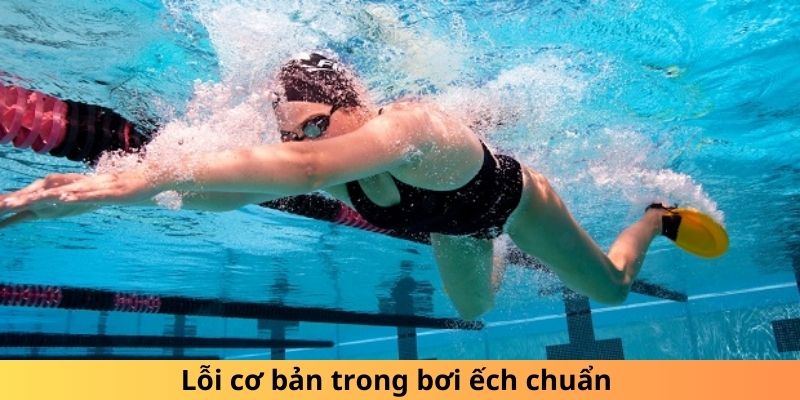 Lỗi cơ bản trong bơi ếch chuẩn 