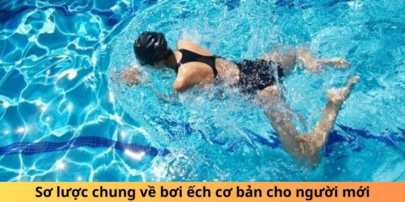 Sơ lược chung về bơi ếch cơ bản cho người mới