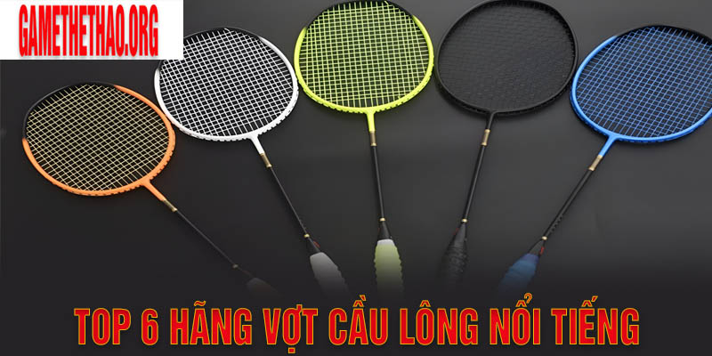 Top 6 Các Hãng Vợt Cầu Lông Chất Lượng, Nổi Tiếng Nhất Việt Nam