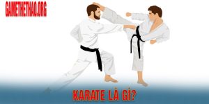 Khái Niệm Môn Võ Karate Là Gì Dành Cho Các Tân Võ Sinh