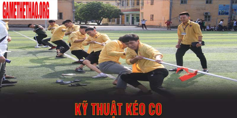 Chia Sẻ Kỹ Thuật Kéo Co Cơ Bản Dành Cho Người Đam Mê