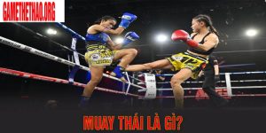 Muay Thái là gì? Tìm hiểu về Võ Thuật Muay Thái