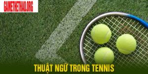 Giải Đáp Một Số Thuật Ngữ Trong Tennis Thường Gặp