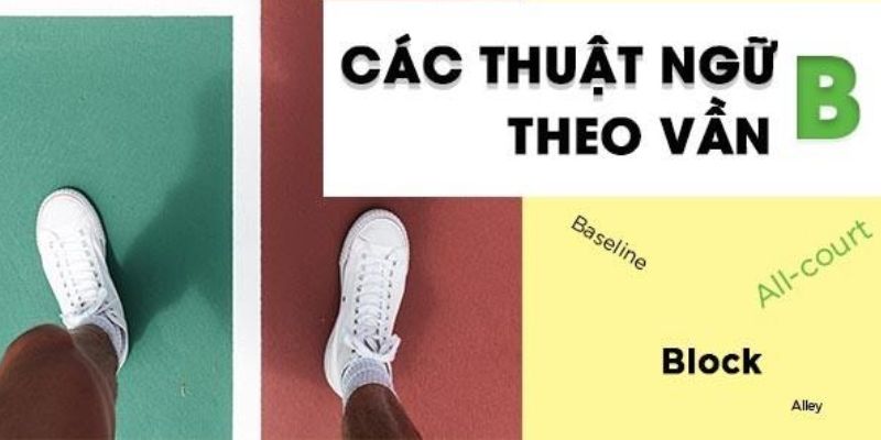 Thuật ngữ trong Tennis bắt đầu bằng vần B