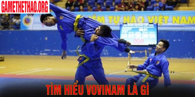 Thắc mắc Vovinam là gì