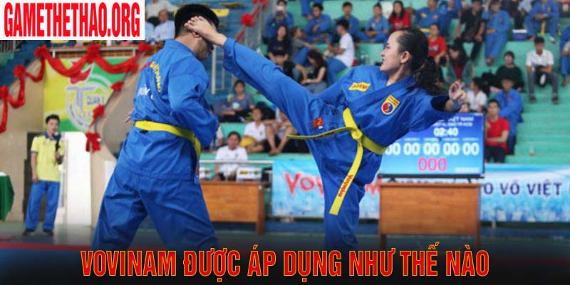 Thực tế bộ môn võ Vovinam là gì áp dụng như thế nào?