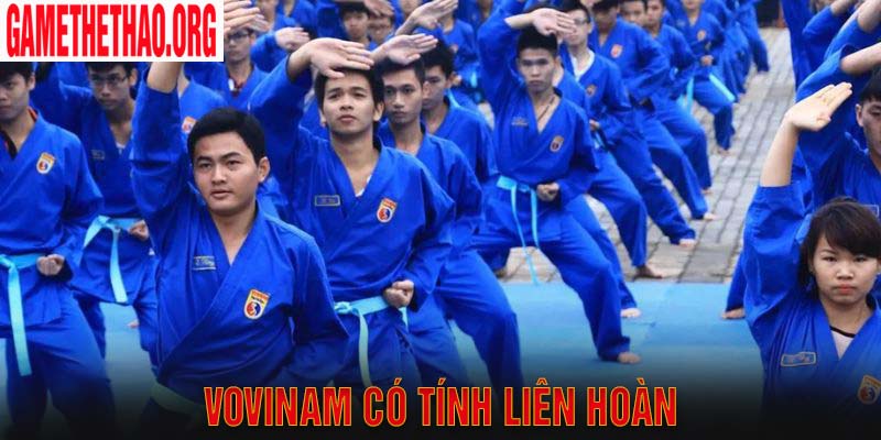 Vovinam là gì có tính tính liên hoàn